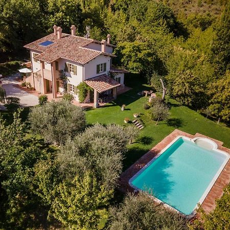 Altra Meta B&B Gubbio Eksteriør billede
