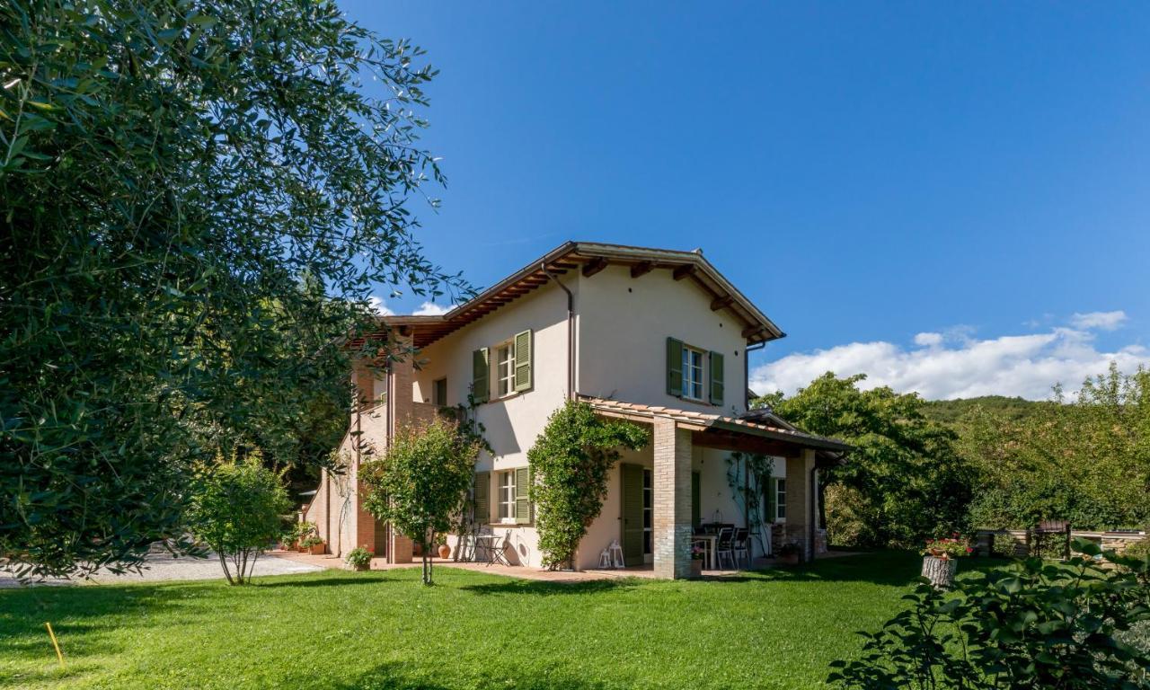 Altra Meta B&B Gubbio Eksteriør billede