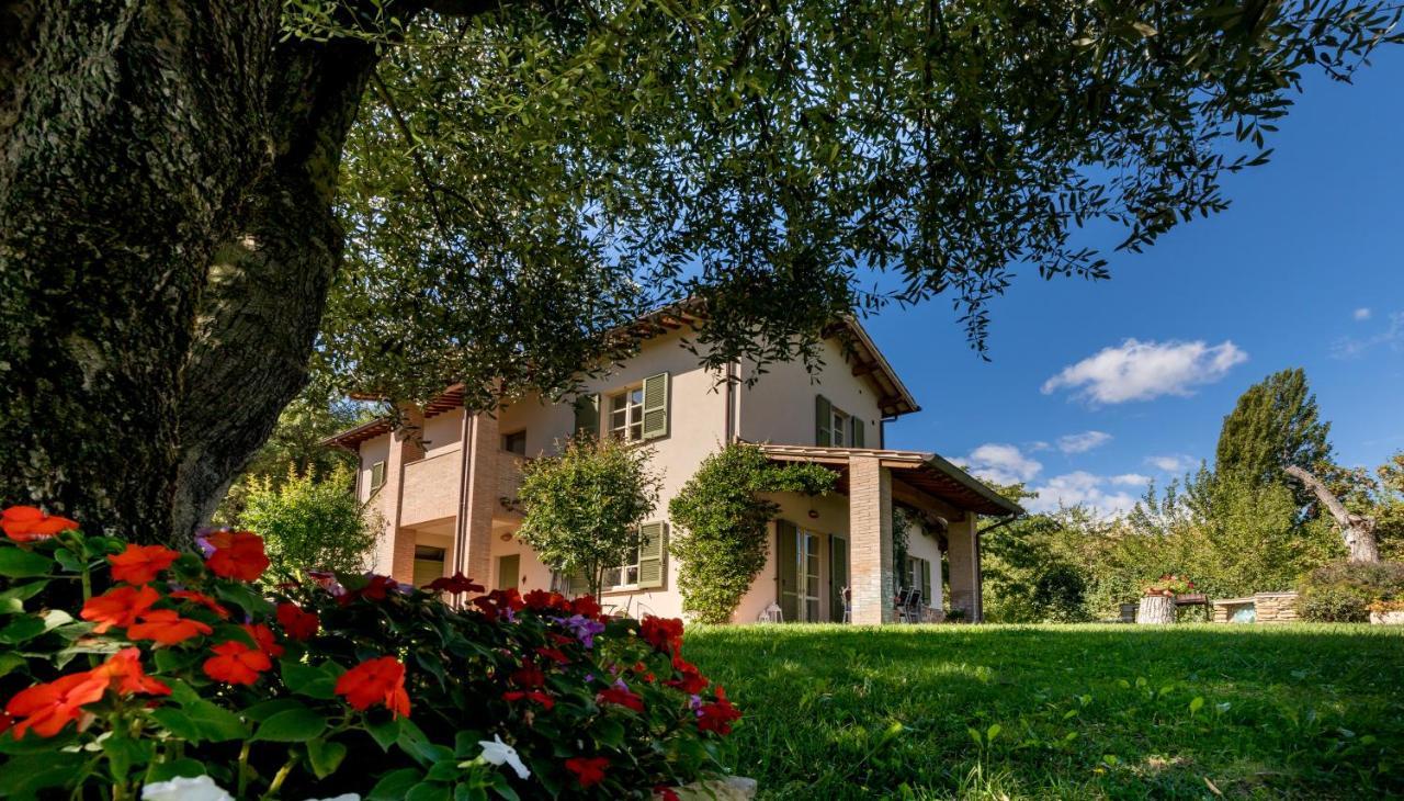 Altra Meta B&B Gubbio Eksteriør billede